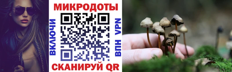 Псилоцибиновые грибы прущие грибы Сегежа
