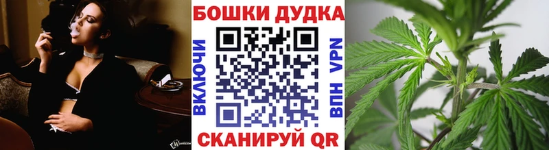купить  цена  Сегежа  Конопля MAZAR 